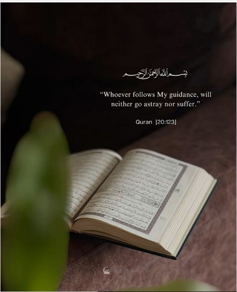 Quran 29:12 guidance verse - "Whatever follows My guidance will neither go astray nor suffer" - DeenGuidance Islamic stories
